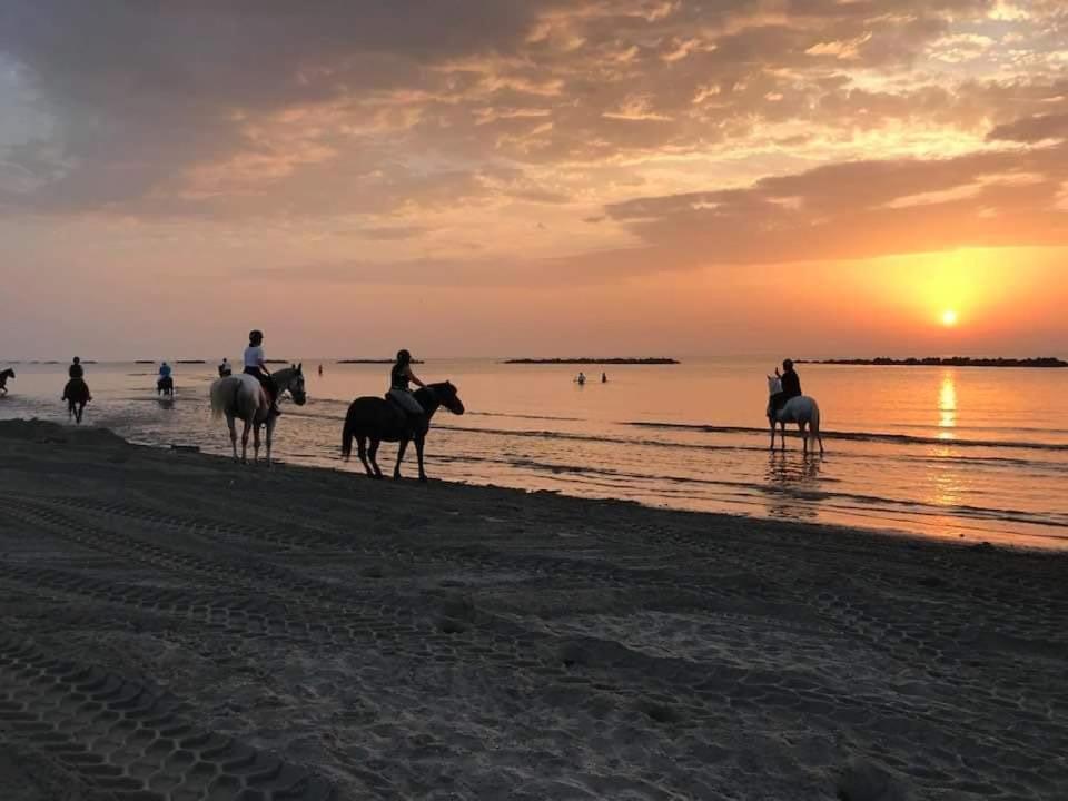 Villa Demi Lido di Pomposa Zewnętrze zdjęcie